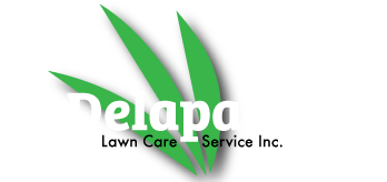 Delapaz Lawn Service Logo